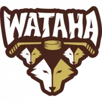 Klub hokejowy Wataha 71 Wrocław